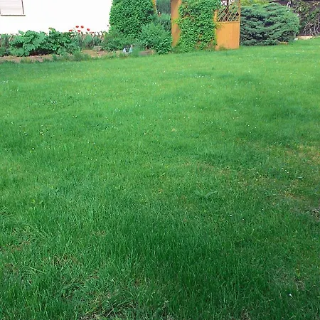 Apartment Zum Kater